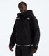 THE NORTH FACE GORE-TEX® Mountain Jacket Mens Apparel